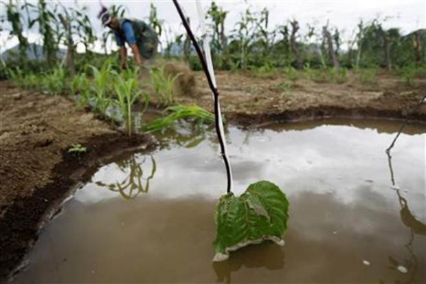 Water Harvesting-700.jpg